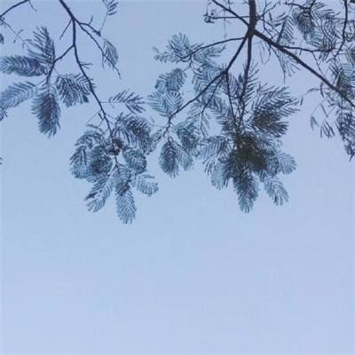 指尖争霸手机版下载